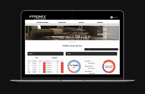 Aplicación Web para Vitromex